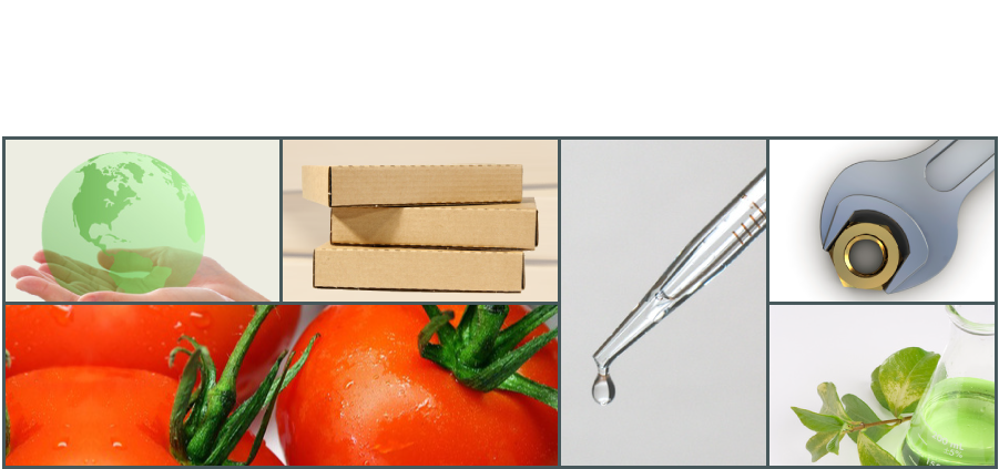 קולאז3 דף הבית